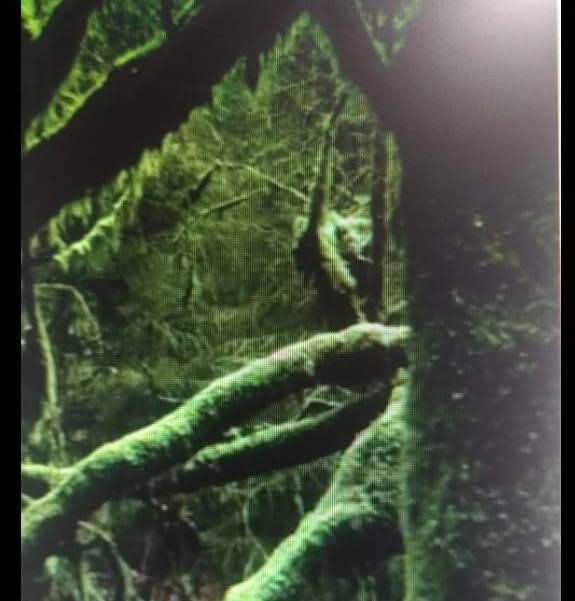 Percurso - A Mãe-Terra